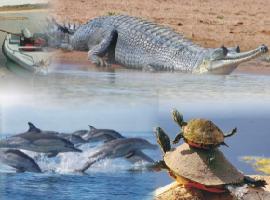 Chambal Safari